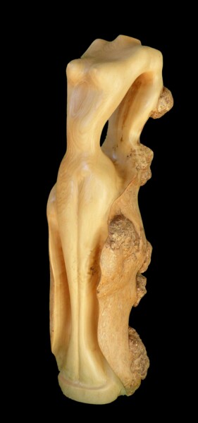 Sculpture intitulée "Rêve Nu" par Claude David, Œuvre d'art originale, Bois
