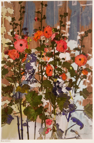 Digital Arts titled "roses tremieres.jpg" by Claude Corbier, Original Artwork, Photo Montage