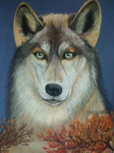 Drawing titled "Le petit loup" by Claudine Marquet, Original Artwork, Pastel