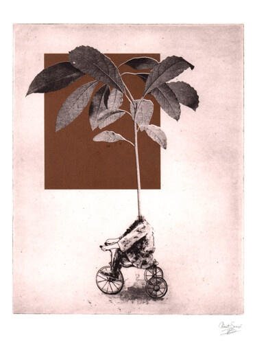 Druckgrafik mit dem Titel "The Avocado" von Clement Scarpi, Original-Kunstwerk, Gravur