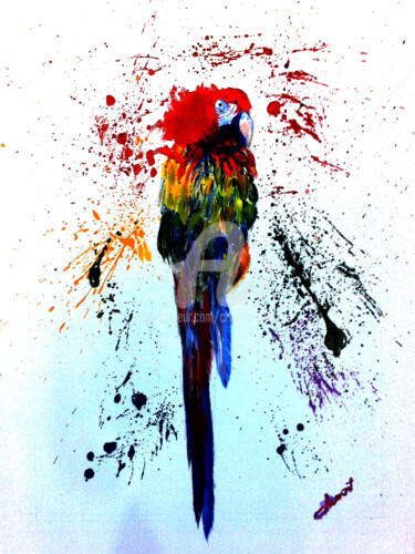 Schilderij getiteld "Colourful Parrot in…" door Clement Tsang, Origineel Kunstwerk, Acryl