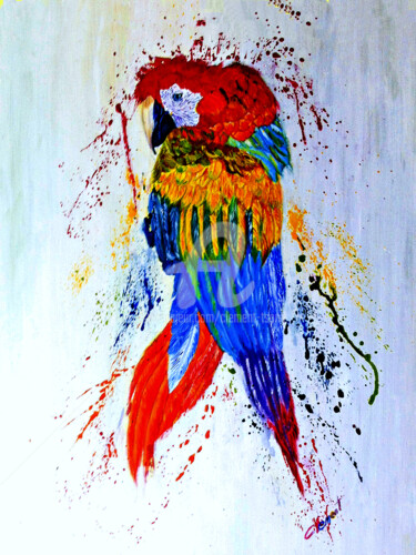 Malarstwo zatytułowany „Colorful Parrot” autorstwa Clement Tsang, Oryginalna praca, Olej