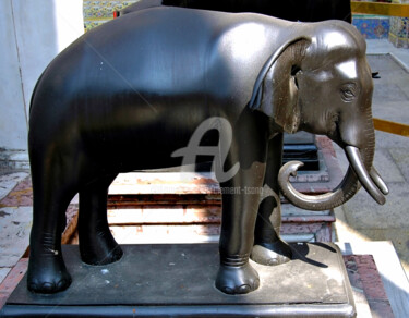 Photographie intitulée "TH02 - The Elephant" par Clement Tsang, Œuvre d'art originale, Photographie numérique