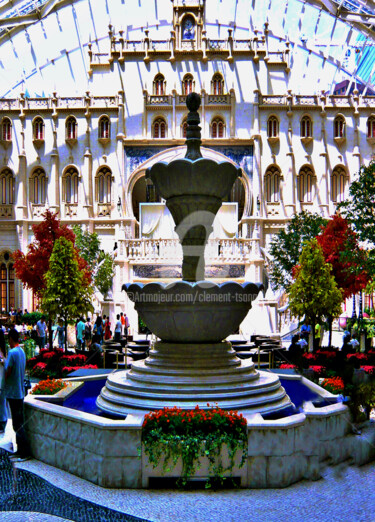 Fotografia intitolato "The Flower Display…" da Clement Tsang, Opera d'arte originale, Fotografia digitale