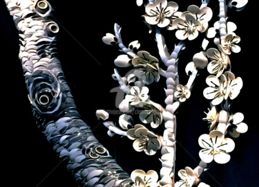 Fotografia intitolato "TW30-Silver Tree Di…" da Clement Tsang, Opera d'arte originale, Fotografia digitale
