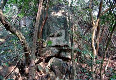 Fotografia zatytułowany „Hong Kong - Stone F…” autorstwa Clement Tsang, Oryginalna praca, Fotografia cyfrowa