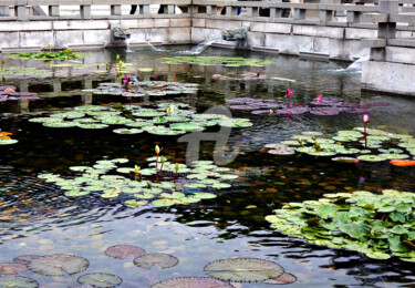 Photographie intitulée "Lotus on Pond in Ho…" par Clement Tsang, Œuvre d'art originale, Photographie numérique
