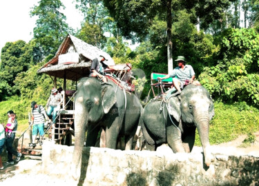 Photography titled "Elephant Walk in th…" by Clement Tsang, Original Artwork, Digital Photography