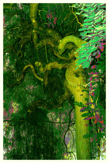 Fotografía titulada "L'esprit-de-l'arbre…" por Chupalia, Obra de arte original, Fotografía digital Montado en Bastidor de ca…