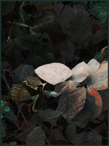 Fotografía titulada "feuilles-d-automne1…" por Chupalia, Obra de arte original