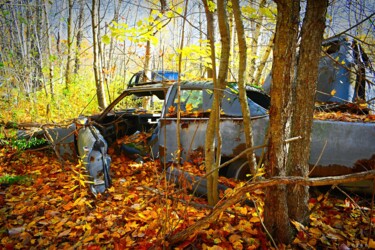 Photographie intitulée "« THE DUMP » 4" par Cojan, Œuvre d'art originale, Photographie numérique