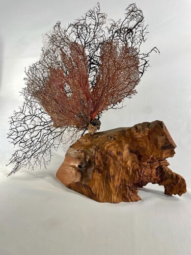 Скульптура под названием "AFFÛT" - Corol, Подлинное произведение искусства, Дерево