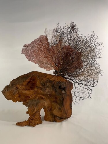 Скульптура под названием "MASSIF" - Corol, Подлинное произведение искусства, Дерево