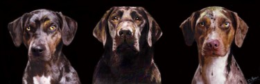 Disegno intitolato "cani.jpg" da Costantino Di Renzo, Opera d'arte originale, Matite colorate