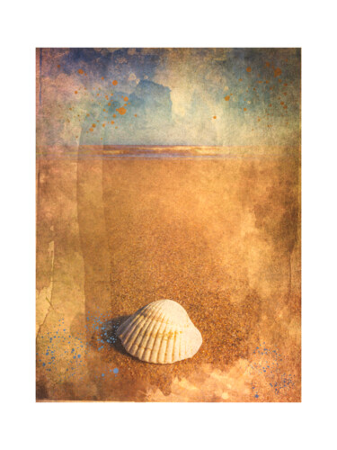 Arts numériques intitulée "Shell" par Csaba Deak, Œuvre d'art originale, Travail numérique 2D