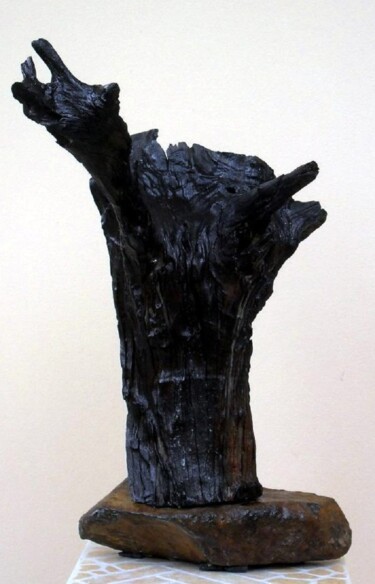 Sculptuur getiteld "Power" door Dan Civa, Origineel Kunstwerk, Hout