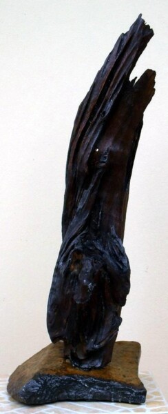 Skulptur mit dem Titel "Reservation" von Dan Civa, Original-Kunstwerk, Holz