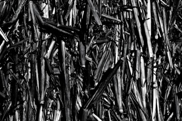 제목이 "Compression"인 사진 Daniel Thomas로, 원작, 디지털 나무 들것 프레임에 장착됨