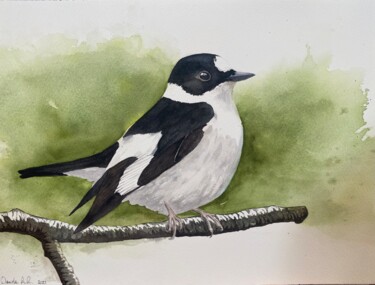 Painting titled "Flycatcher" by Daniela Rios, Original Artwork, Watercolor
