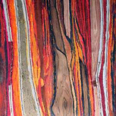 Peinture intitulée "vibrazioni in rosso" par Daniela Foschi, Œuvre d'art originale, Acrylique Monté sur Châssis en bois
