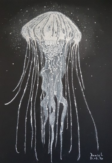 Zeichnungen mit dem Titel "Jellyfish" von Daniel Darie, Original-Kunstwerk, Bleistift