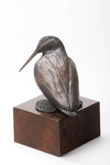 Sculpture titled "Beccaccia" by Daniele Giusberti, Original Artwork, Bronze