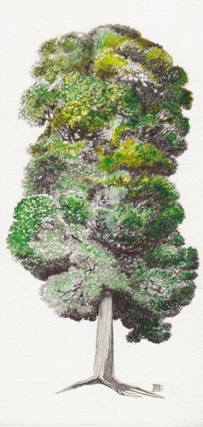 Dibujo titulada "Arbre au jardin d'A…" por Daniele Sanchez Dsz, Obra de arte original, Tinta