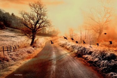 Photographie intitulée "investir la route" par Daniel Meynial, Œuvre d'art originale, Photographie numérique