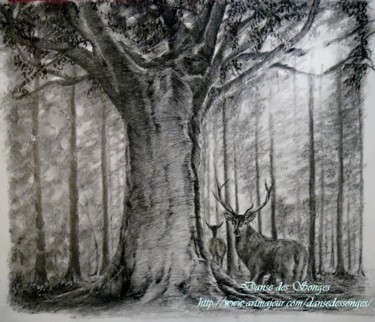 Tekening getiteld "Dans les bois" door Danse Des Songes, Origineel Kunstwerk, Potlood