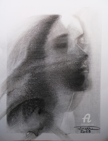 「Veiled」というタイトルの描画 Danut Lucian Tolnacsによって, オリジナルのアートワーク, 木炭
