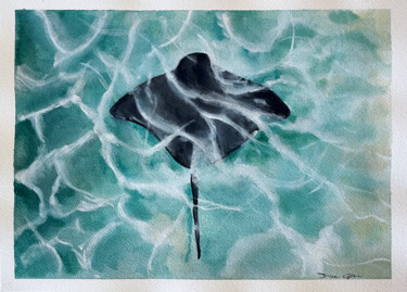 Peinture intitulée "Manta ray" par Daria Ceppelli, Œuvre d'art originale, Aquarelle