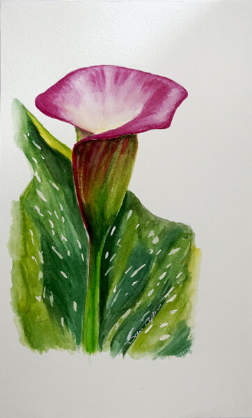 Painting titled "calla" by Daria Ceppelli, Original Artwork, Watercolor