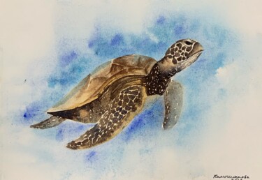 Painting titled "Sea turtle" by Daria Kamishanova, Original Artwork, Watercolor
