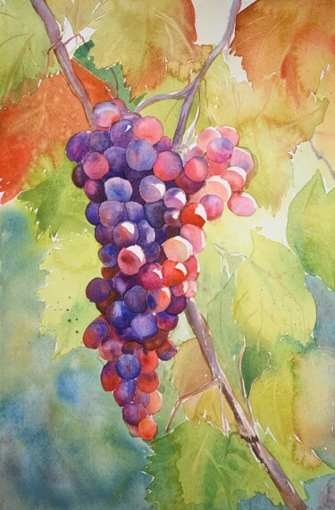Pintura intitulada "Grapes" por Daria Kamishanova, Obras de arte originais, Aquarela