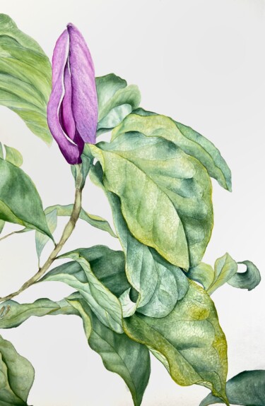 Pittura intitolato "Magnolia" da Dariia Pavlenko, Opera d'arte originale, Acquarello