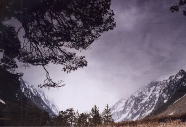 Fotografía titulada "Sans titre" por Dario Siragusa (muto), Obra de arte original, Fotografía analógica Montado en Cartulina