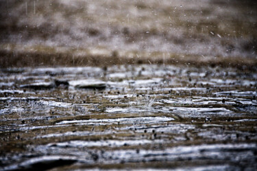 Фотография под названием "raindrops on cobble…" - David Page, Подлинное произведение искусства, Цифровая фотография