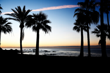 Фотография под названием "morning palms" - David Page, Подлинное произведение искусства, Цифровая фотография
