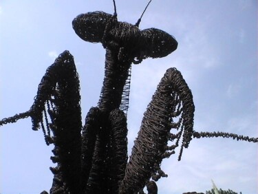 Escultura titulada "bidsprinkhaan kunst" por David Vanorbeek, Obra de arte original, Metales