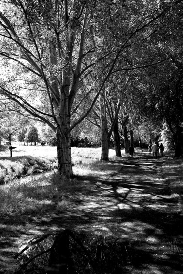 Fotografia zatytułowany „Walking through the…” autorstwa Davide Novello, Oryginalna praca, Fotografia cyfrowa