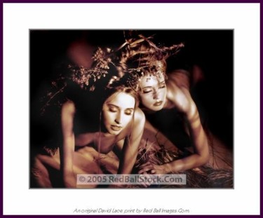 Fotografía titulada "Forest Sisters" por David Lace, Obra de arte original