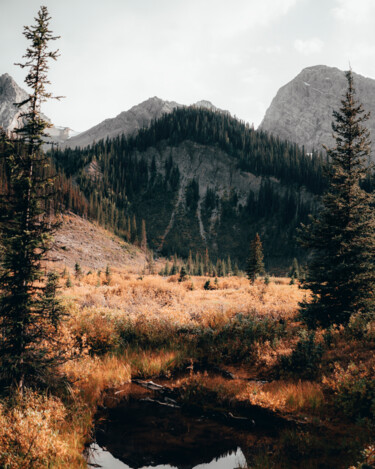 Fotografía titulada "MOUNTAIN" por Matthieu Debano, Obra de arte original, Fotografía digital