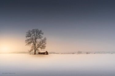 Фотография под названием "An old hut in the w…" - Dejan Travica, Подлинное произведение искусства, Цифровая фотография