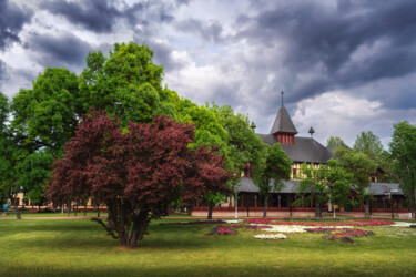 Photography titled "The Great park Palic" by Dejan Travica, Original Artwork, Digital Photography