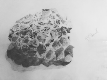 Dessin intitulée "Nid de guêpes en po…" par Ppaul, Œuvre d'art originale, Encre