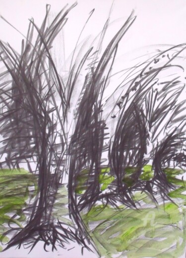 Rysunek zatytułowany „Still Life 6” autorstwa Remi Delaplace, Oryginalna praca, Węgiel drzewny Zamontowany na Drewniana rama…