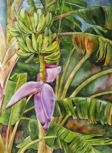 제목이 "Banana palm"인 미술작품 Delnara El로, 원작, 수채화