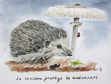 Painting titled "Le hérisson protège…" by Emilie Denis, Original Artwork, Watercolor