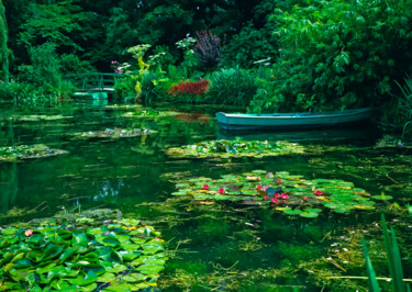 数字艺术 标题为“The Lily Pond with…” 由Derek Harris, 原创艺术品, 非操纵摄影