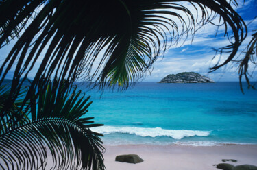 Digital Arts titled "Seychelles Beach wi…" by Derek Harris, Original Artwork, Non Manipulated Photography